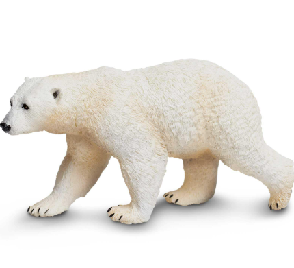 Polar Bear