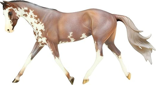 Pinto Coat Horse