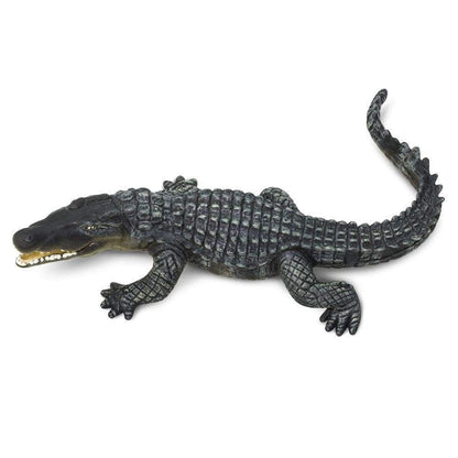 Saltwater Crocodile