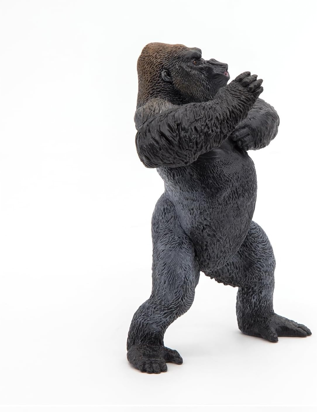 Mountain Gorilla