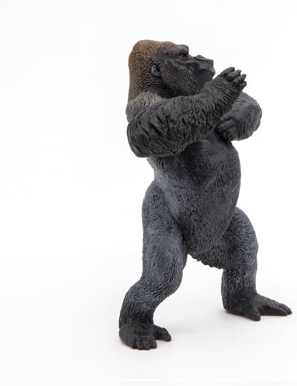 Mountain Gorilla